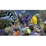3D Aquarium [Blu-ray 3D]