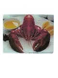 Lobster Tempered Glass Cutting Board / Kitchen Decor