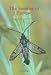 Book The Sesiidae of Europe