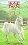 Solo: The Homeless (Home Farm Twins)