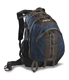 JanSport Equinox Backpack (Cobalt)