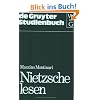 Nietzsche lesen