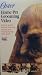 Home Pet Grooming