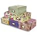 Pioneer 4-1/2 Inch by 8 Inch by 11-1/2 Inch Photo Storage Box, Assorted Designs