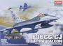 1/72 F-16CG/CJ Fighting Falcon