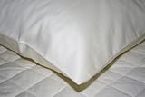 Homescapes Organic 400 Thread Count Housewife Pillow Case Cream, 100% Egyptian Cotton, Anti Dust mite and Anti Allergen. Superior Percale, Excellent for Summers.