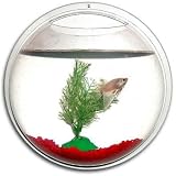 Aquatic Gardens Hanging Betta Bowl