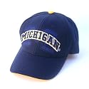 Michigan Shadow Baseball Cap