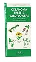 Oklahoma Trees and Wildflowers : An Introduction to Familiar Species (Pocket Naturalist - Waterford Press) (State Nature Guides)