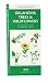 Oklahoma Trees and Wildflowers : An Introduction to Familiar Species (Pocket Naturalist - Waterford Press) (State Nature Guides)
