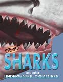 Life-size Sharks: And Other Underwater Creatures