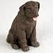 Labrador Retriever, Chocolate Tiny Ones Dog Figurines (2 1/2in)