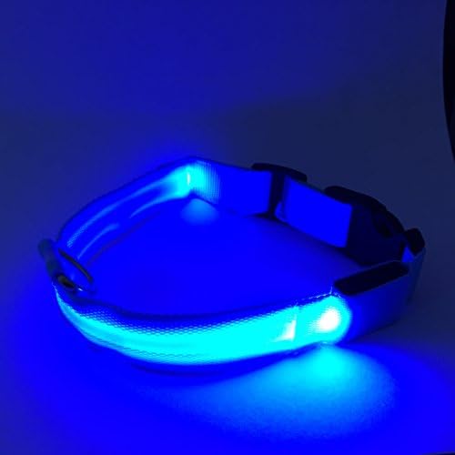 Flashing Dog Collar - LED Lights Up to Keep Pet Safe at Night XL Blue