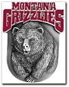 Alfred Hitch Cover - Class III Hitch Cover 2", Montana Grizzlies (10117)