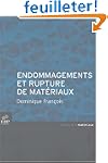 Endommagement et rupture de mat�riaux