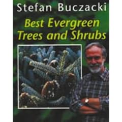 Best Evergreen Trees and Shrubs ("Amateur Gardening" Guide)