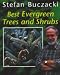 Book Best Evergreen Trees and Shrubs (
