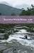 Scottish White Water: The SCA Guidebook (Scottish Canoe Association)