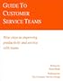 Guide to Customer Service Teams: Nine Steps to Improving Productivity and Service with Teams (Ichor Business Books)