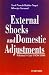 External Shocks and Domestic Adjustment: Pakistan's Case (1970-1990) (Ugc Monograph Series in Economics)
