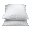 AllerEase Standard/Queen Pillow Cover - White (2-pk.)