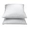 AllerEase Standard/Queen Pillow Cover - White (2-pk.)