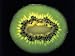 Close-Up of Cross Section of a Golden Kiwi Fruit (Actinidia Chinensis) Photographic Poster Print by D. Dagli Orti, 24x32