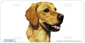- Golden Retriever - Art Print - License Plate Decorative Tag By Robert J. May From Airstrike
