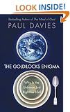 The Goldilocks Enigma: Why Is the Universe Just Right for Life?