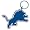 Detroit Lions