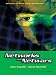 Networks and Netwars : The Future of Terror, Crime, and Militancy