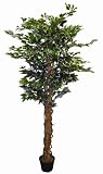 180cm Ficus Tree Artificial x 4 trees