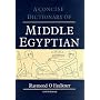 Concise Dictionary of Middle Egyptian (Egyptology: Griffith Institute)