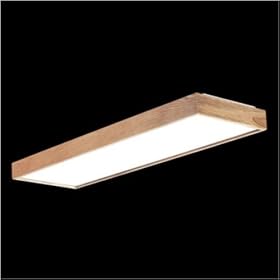 Thomas Lighting - FD432-53WFEB by Thomas Lighting