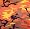 Savage Orange Camouflage