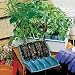 Garden Accessories - Root Trainers