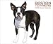 Boston Terriers 2006 Calendar