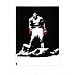 Muhammad Ali (Red Gloves) Sports Poster Print - 24x32