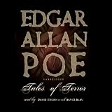 Tales of Terror and Detection (Dover Thrift Editions)