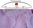1000 Silk Rose Petals Wedding Favors - Solid Colors - Lavender