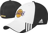 Los Angeles Lakers Mesh Back Structured Flex-Fit Hat
