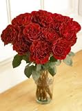 One Dozen Wanted Roses, Eco-Friendly - Veriflora Certified, Red Rose Bouquet