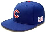 MLB Unisex Adult Chicago Cubs 9/11 Commemorative Flag 5950 (Royal, 738)