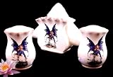 Review ACK  / 3PC Napkin Holder, Salt & Pepper shakers Fairy Decor