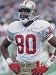 Jerry Rice autographed 49ers 30x40 poster size photo