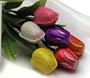 Tulip Bouquet Semi Solid Milk Chocolate (1/2 Doz)