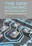 The New Economic Sociology: Developments in an Emerging Field