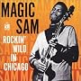 Rockin' Wild in Chicago