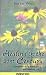 Book Healing in the 21st Century: Complementary Medicine and Modern Life (Jan de Vries Healthcare)