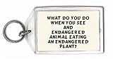What do you do when you see and endangered animal eating an endangered plant? Keychain